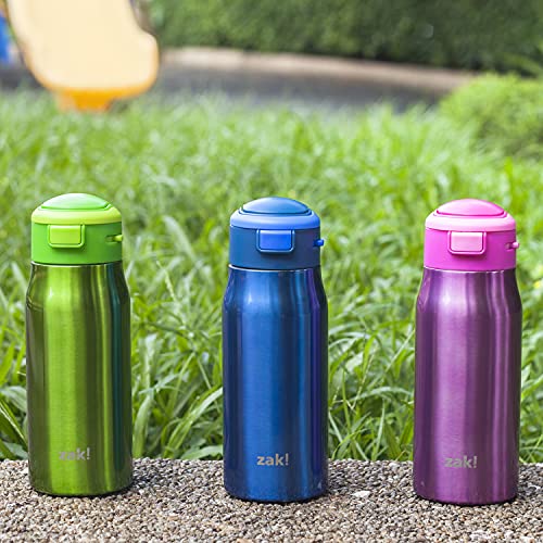 Zak Designs DoubleWall Vacuum Insulated, Stainless Steel Kids Mesa