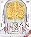 The Human Brain Book: An Illustrated Guide to its Structure, Function, and Disorders