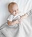 Little Giraffe Chenille Stroller Baby Blanket, Lotus, 29
