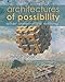 Architectures of Possibility: After Innovative Writing