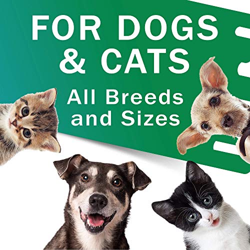 hewbo-UTI-Treatment-for-Cats-and-Dogs-Kidney-Support-for-Pets-Bladder-Urinary-Support-Cranberry-Echinacea-Pumpkin-Feline-Renal-Support-Supplemen-2oz-Made-in-USA