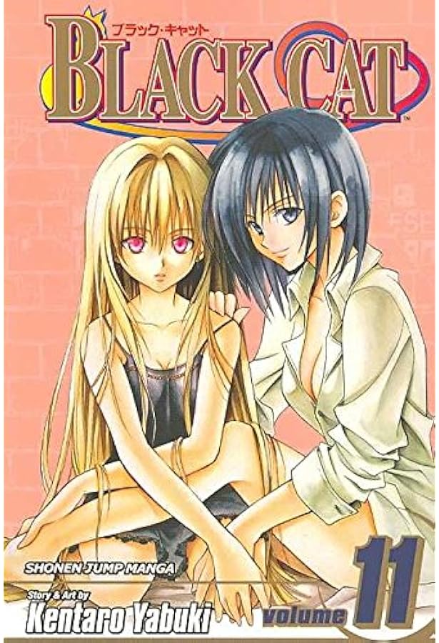 Black Cat, Vol. 8: Yabuki, Kentaro: 9781421510378: Amazon.com: Books