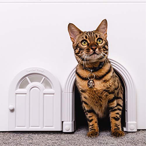 best cat door interior