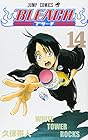 BLEACH -ブリーチ- 第14巻