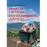 What is Critical Environmental Justice?