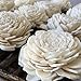 Eco Flower Sola Wood Flowers - One Dozen Wholesale
