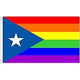 Amazon Com Neoplex Puerto Rico Rainbow Traditional Flag Office