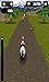 Crazy Horseback Riding