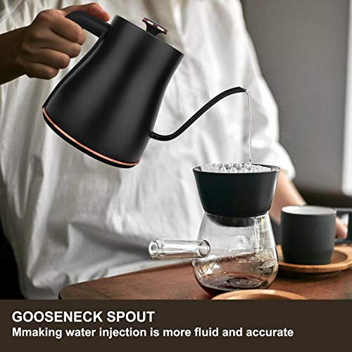 Dealz Frenzy Electric Kettle with Temperature Control,Pour Over Kettle