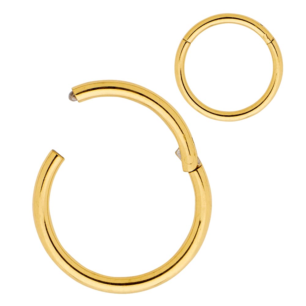 365 SLEEPERS 316L Surgical Steel Hypoallergenic Nose Rings Septum Jewellery Hinged Segment Ring Body Piercing Hoop Lip Rings Helix Cartilage Rook Earrings (12G 18mm)