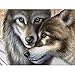 Wolf 5D Diamond Painting by Number Kit, Staron DIY Diamond Embroidery Painting Cross Stitch Kit 5D Diamond Crystal Rhinestone Embroidery Painting DIY Art Craft Canvas Wall Decor (Wolf Lover 2❤️)