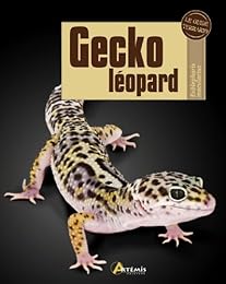 Gecko léopard