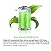RayHom D Batteries Rechargeable 10,000mAh Ni-MH High Capacity Battery (12 Pack)