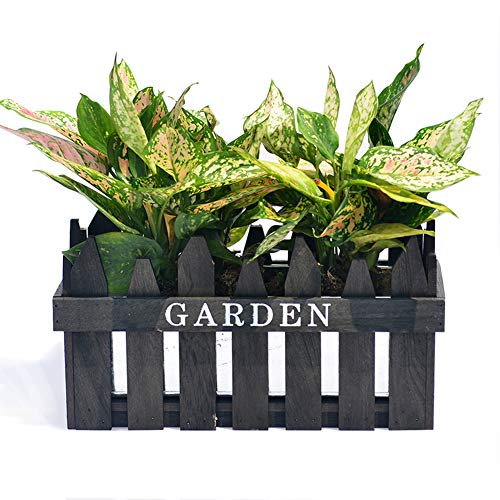 Revolumini Herb Planter Boxes, Wood Porch Deck Railing Planter, Rectangle Window Planter Box Container with Removable Metal Liner, 5 Colors (1, H: 7.2’’ Open: 13.5×6)（Black）