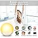 Alarm Clock Wake Up Light,XIRON Light Alarm Clock with Sunrise/Sunset Simulation,Dual Alarms and Snooze Function, 7 Colour Atmosphere Lamp, 7 Natural Sounds and FM Radio for Kids Adults Bedroom