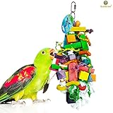 Bird Chewing Toy by SunGrow –The Perfect Parrot Toy; Aids in the Physical & Psyc