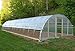 Agfabric 3.1Mil Plastic Covering Clear Polyethylene Greenhouse Film UV Resistant for Grow Tunnel and Garden Hoop, Plant Cover&Frost Blanket for Season Extension,Keep Warm and Frost Protection, 12x20ft
