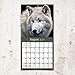 2020 Wolves Wall Calendar