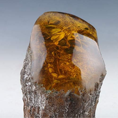 YOTATO 100% Natural Amber Statue Sculptures w Scorpions