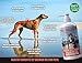 All Natural & Pure Wild Alaskan Salmon Oil for Dogs, Cats and Horses | Rich in EPA + DHA | Anti inflammatory | Supports Joint Function | Skin & Coat | Non GMO | cGMP Certified | Made in USA (16 oz)