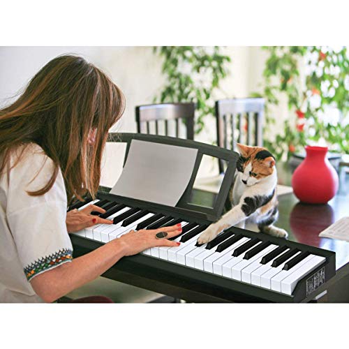 Costzon 61-Key Portable Touch Sensitive Keys Digital Piano, Upgraded Premium Electric Keyboard W/ 128 Rhythm, 128 Tone, Sustain Pedal, MIDI/USB Interface, Power Supply, Bluetooth Function (Black)