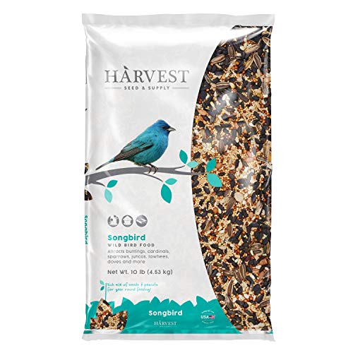 The Best Bird Seed [2021 Review]