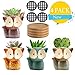 JDHQY Succulent Pots Small Succulent Planters Ceramic Flower Pot Garden Planters Cute Cactus Plant Pot (4 Pack)