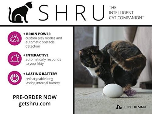 shru cat