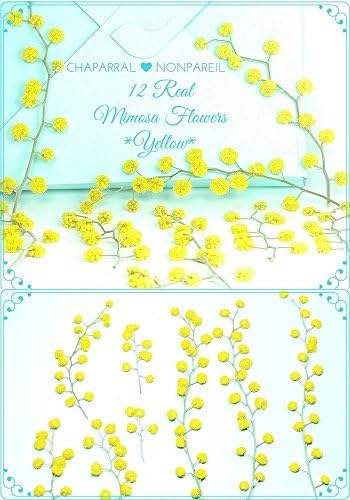 Dried Pressed Flower, Small Yellow Flower, Biodegradable Confetti, Dried Flower Decor, Mini Fairy Garden, Natural Craft Flower Embellishment