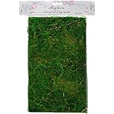 Byher 92927 Preserved Forest Moss, Fresh Green, 16-Ounce