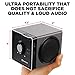 GOgroove BlueSYNC BX Portable Wireless Bluetooth Speaker - Rechargeable Compact Speaker with NFC, AUX and USB Inputs, Mic, Playback Controls for Flash Media, 4-6 Hour Battery (Wireless, Silver)