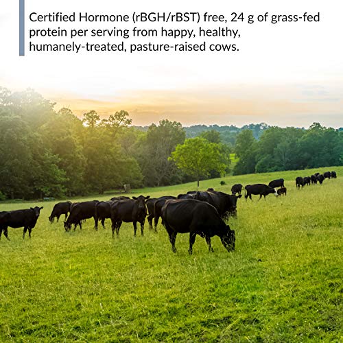 BioTrust Low Carb Natural and Delicious Protein Powder Whey and Casein