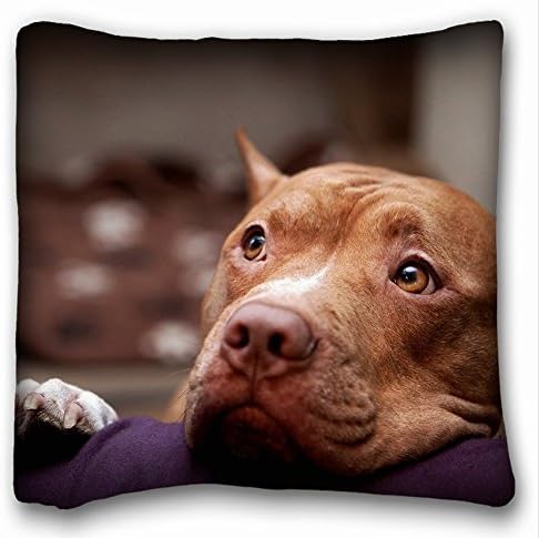 KALIN Pillow Case dog eyes pitbull muzzle 18 in*18 in Two Side
