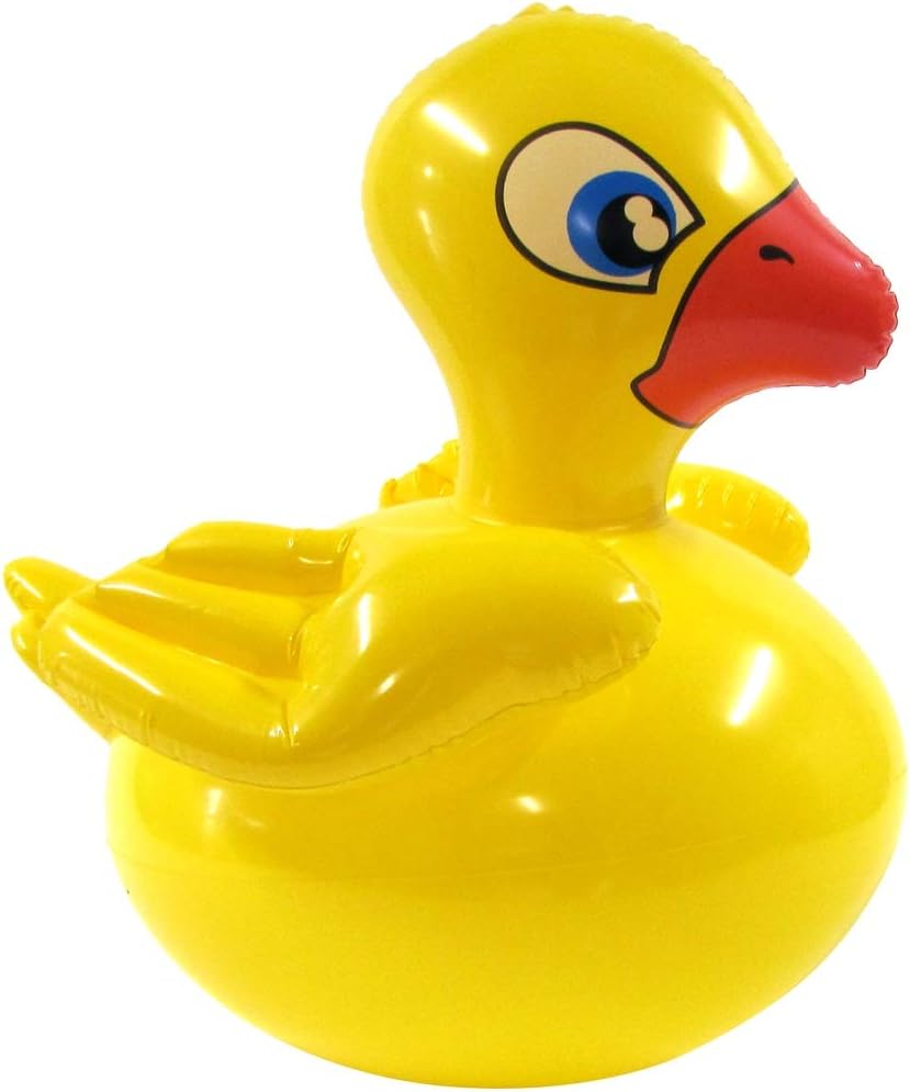 rubber duck floatie