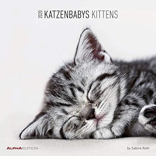 Download Calendario da muro 30x30 cm kittens 2020 PDF