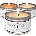 Wax and Oils Soy Wax Aromatherapy Scented Candles (Cedar, Pumpkin, Black Amber Plum) 8 Ounces. 3 Packthumb 3