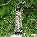 Lyric Chickadee Wild Bird Seed - Sunflower & Nut Premium Bird Food Mix for Chickadees, Nuthatches & Titmice - 20 lb bag