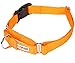 GOGO Pet Products 3/4-Inch Martingale Dog Collar, Medium, Orange