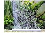 aquarium air stone bar fish tank air diffuser with air control valve, silent and subtle design, 6 inch length wide compatibility (ideal for guppy, shrimp, exotic species)