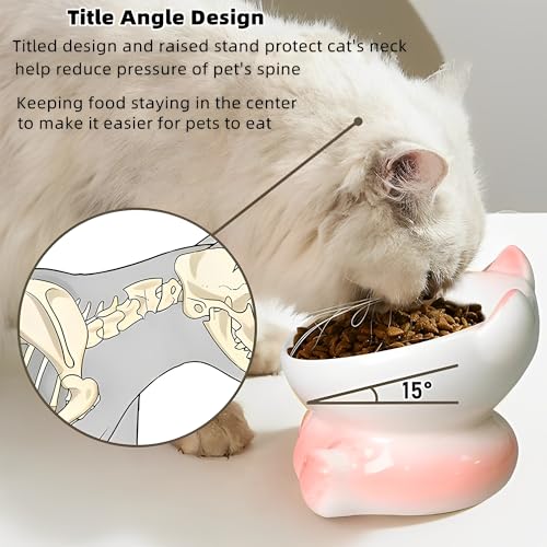 Beauenty 2 Pcs Ceramic Elevated Cat Bowls - Tilted Raised Cat Bowl Anti Vomit Cat Food Bowls for Indoor Cats, Whisker Friendly Design, Microwave & Dishwasher Safe