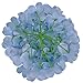 Luyue Silk Hydrangea Heads Artificial Decoration Flowers Garden Floral Decor,Pack of 10 (Sky Blue)