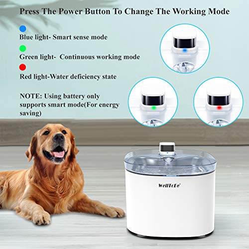 WellToBe Cat Water Fountain Battery & DC Adapter Support Pet Fountain