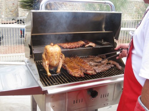 Bull Outdoor Products 67529 Bison Charcoal Stainless Steel Grill Head