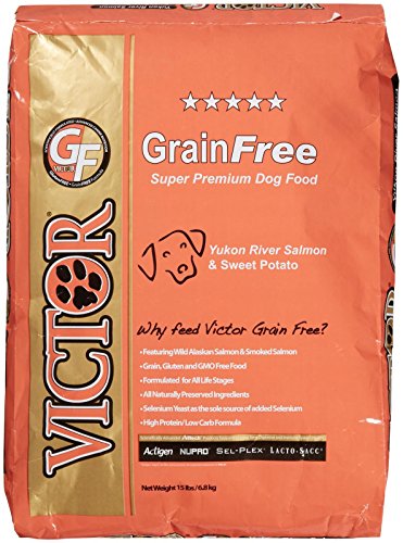 From U.S.A Victor Yukon River Salmon & Sweet Potato Grain-Free Dry Dog