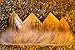 Wild Gold Max Crown Pleather Fur Play Boys Girls Dress Up Birthday Party Cake Smash Things