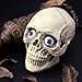 WINOMO 8PCS Hollow Eyeball Mask Halloween Horror Props Costume Plastic Eyeballs for Halloween