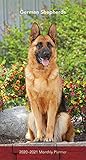German Shepherds 2020 3.5 x 6.5 Inch Two Year Monthly Pocket Planner, Animals Dog Breeds by 