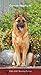 German Shepherds 2020 3.5 x 6.5 Inch Two Year Monthly Pocket Planner, Animals Dog Breeds by 