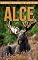 Livro Alce: Fotos Incríveis e Factos Divertidos sobre Alce para Crianças (Série Lembra-te de Mim)