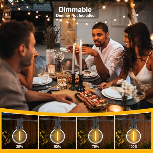FARNY LED Outdoor Light Chain 30M/100FT G40 50+2 IP45 Waterproof Garden Lights, 24 V Warm White Light Chain for Garden, Wedding/Home/Coffee/Gazebo